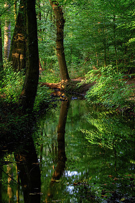 BUITEN BEELD Foto: 324148