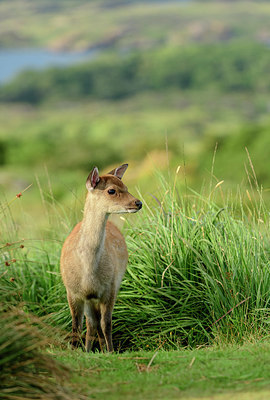 BUITEN BEELD Foto: 324149