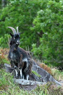 BUITEN BEELD Foto: 324155