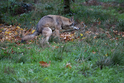 BUITEN BEELD Foto: 324165