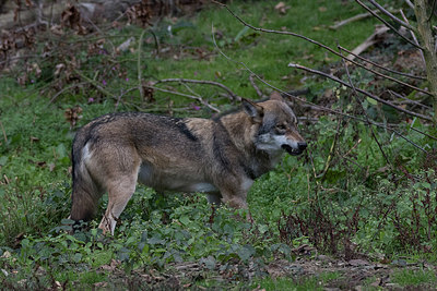 BUITEN BEELD Foto: 324172