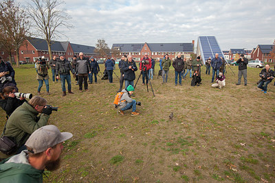 BUITEN BEELD Foto: 324208