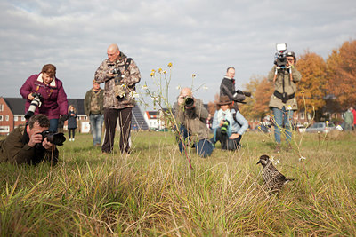 BUITEN BEELD Foto: 324209