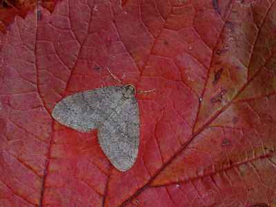 BUITEN BEELD Foto: 324227