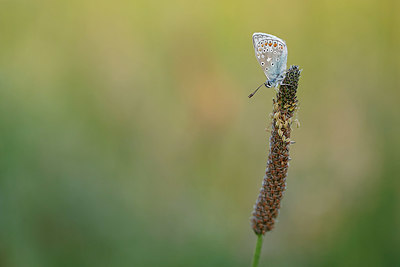 BUITEN BEELD Foto: 324302