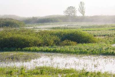 BUITEN BEELD Foto: 324332