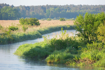 BUITEN BEELD Foto: 324335