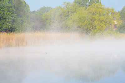 BUITEN BEELD Foto: 324363