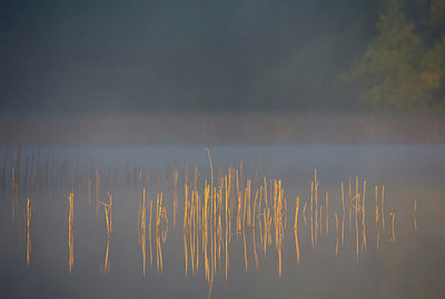 BUITEN BEELD Foto: 324378