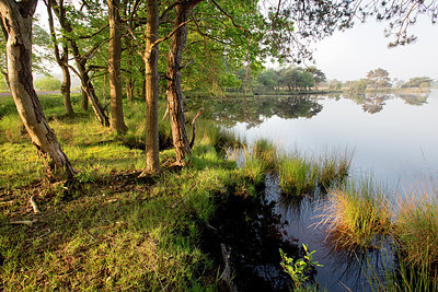 BUITEN BEELD Foto: 324385