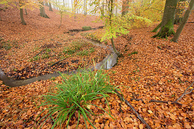 BUITEN BEELD Foto: 324386