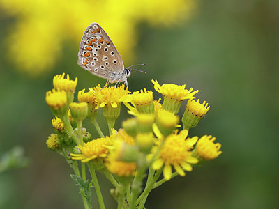 BUITEN BEELD Foto: 324430