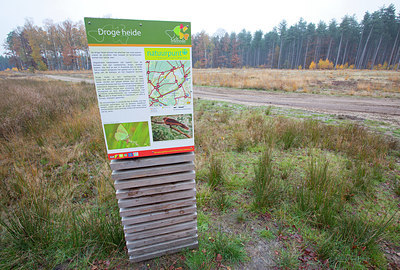 BUITEN BEELD Foto: 324451