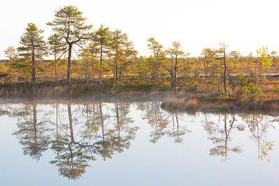BUITEN BEELD Foto: 324454
