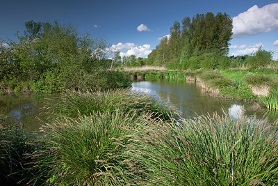 BUITEN BEELD Foto: 324465