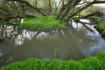 BUITEN BEELD Foto: 324466