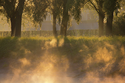 BUITEN BEELD Foto: 324469