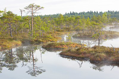 BUITEN BEELD Foto: 324478