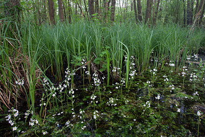 BUITEN BEELD Foto: 324482