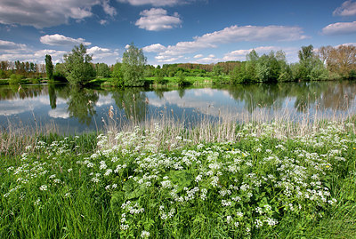BUITEN BEELD Foto: 324485
