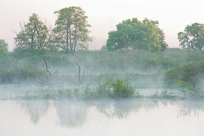 BUITEN BEELD Foto: 324501