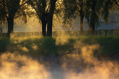 BUITEN BEELD Foto: 324520