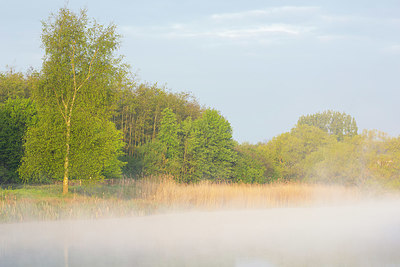 BUITEN BEELD Foto: 324521