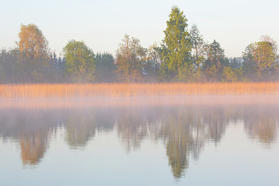 BUITEN BEELD Foto: 324527