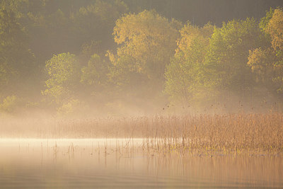 BUITEN BEELD Foto: 324530