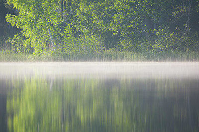BUITEN BEELD Foto: 324531