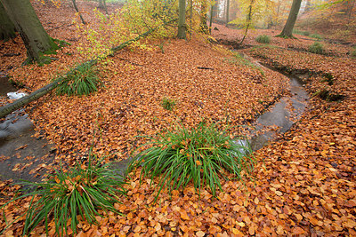 BUITEN BEELD Foto: 324535