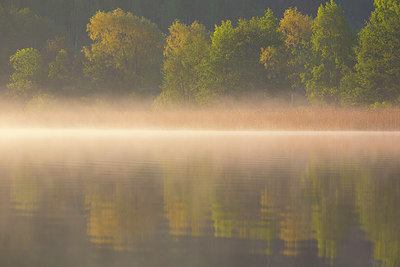 BUITEN BEELD Foto: 324558