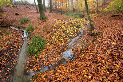 BUITEN BEELD Foto: 324575