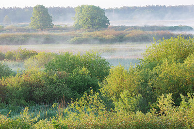 BUITEN BEELD Foto: 324602