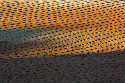 BUITEN BEELD Foto: 324623
