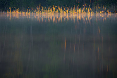 BUITEN BEELD Foto: 324627