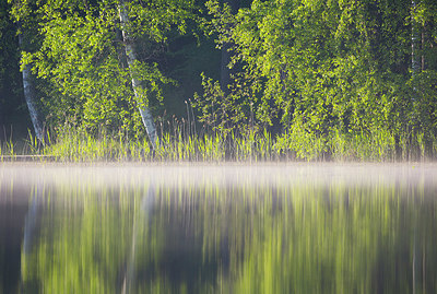 BUITEN BEELD Foto: 324628