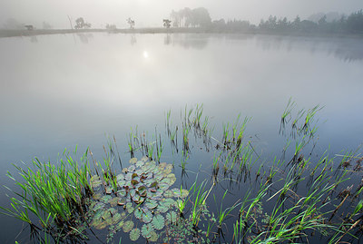 BUITEN BEELD Foto: 324631