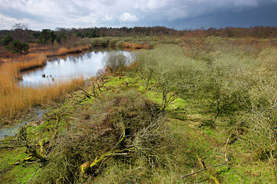 BUITEN BEELD Foto: 324636