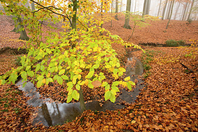 BUITEN BEELD Foto: 324640