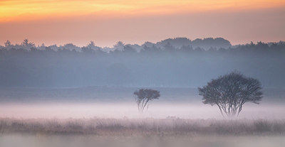 BUITEN BEELD Foto: 324670