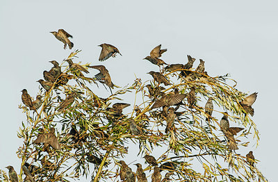 BUITEN BEELD Foto: 324671