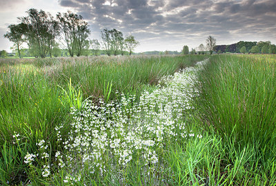 BUITEN BEELD Foto: 324732