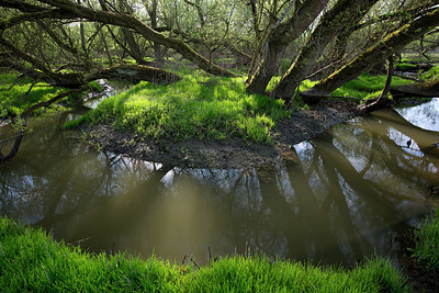 BUITEN BEELD Foto: 324746