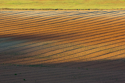 BUITEN BEELD Foto: 324748