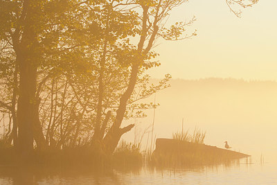 BUITEN BEELD Foto: 324752