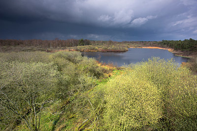 BUITEN BEELD Foto: 324757