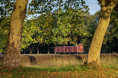 BUITEN BEELD Foto: 324776
