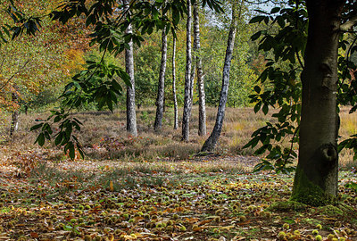 BUITEN BEELD Foto: 324802