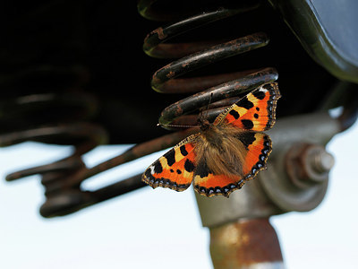 BUITEN BEELD Foto: 324827